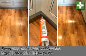 Amtico Vinyl Floor Before After Cleaning Silverdale